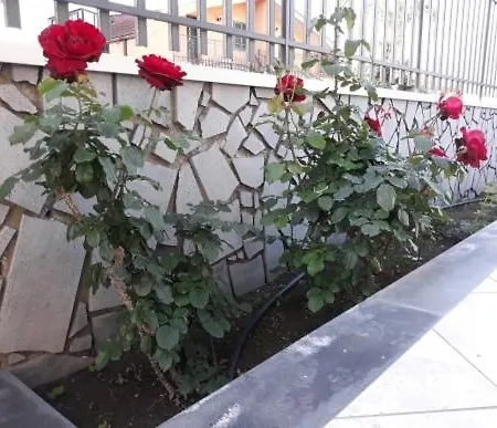Casa vacanze Da Isinoe1
